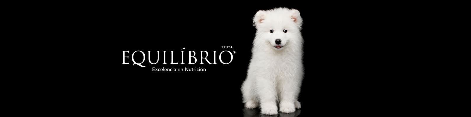 Imagen de Todo lo que debes saber del alimento para perros Equilibrio