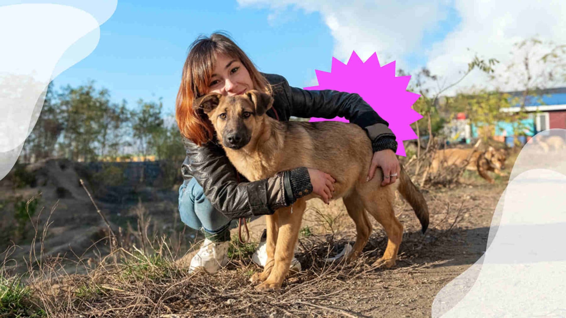 Imagen de Adoptar un perro: cómo hacerlo, beneficios y consejos claves