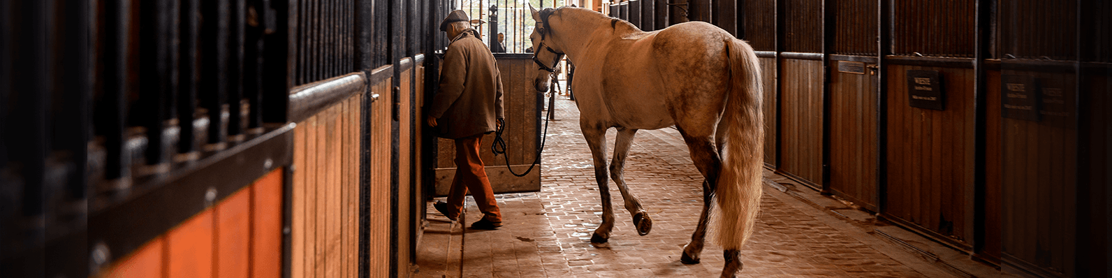 Imagen de Así debe ser el establo ideal para tu caballo