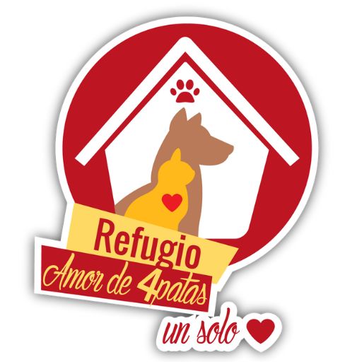 Fundación amor d4 patas - Huellas que Salvan