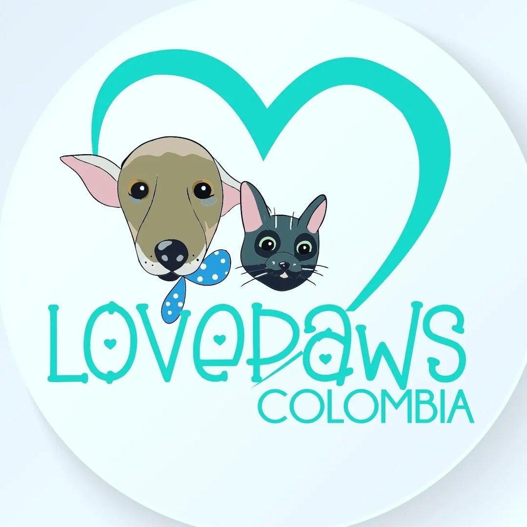 Fundación Love Paws Colombia - Huellas que Salvan