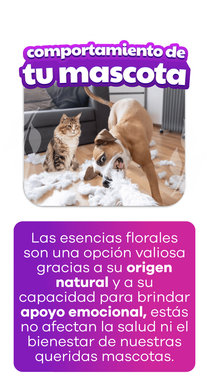 Test Esencias Florales