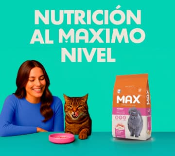 Banner Móvil 1
