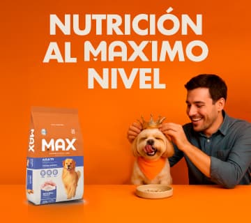 Banner Móvil 3