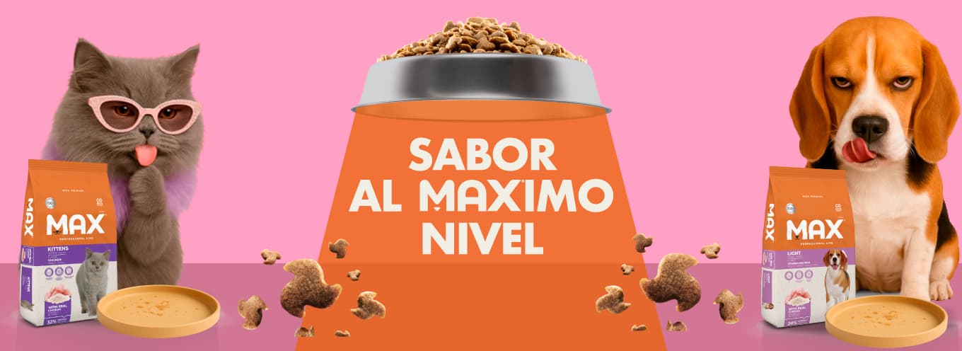 Banner Max 2