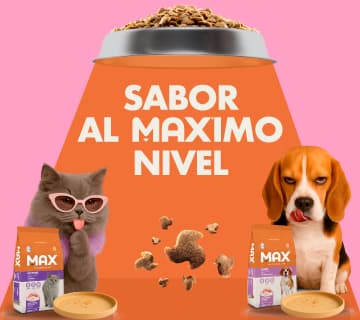 Banner Móvil 2