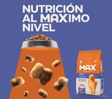 Banner Móvil 4