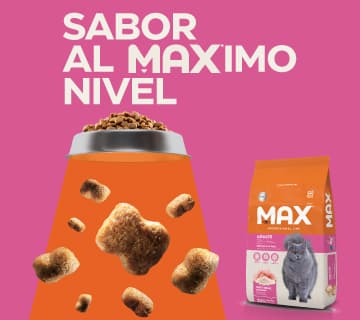 Banner Móvil 5