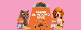 Móvil