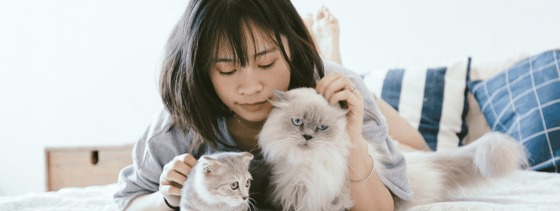 Imagen de ¿Existe la loca de los gatos? ¡Aquí te lo decimos!