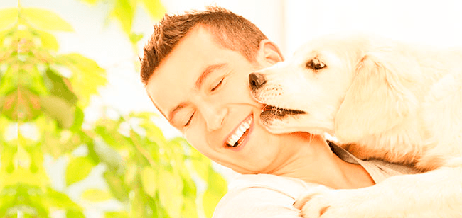 Imagen de Descubre 5 Tips para recibir una nueva mascota en casa
