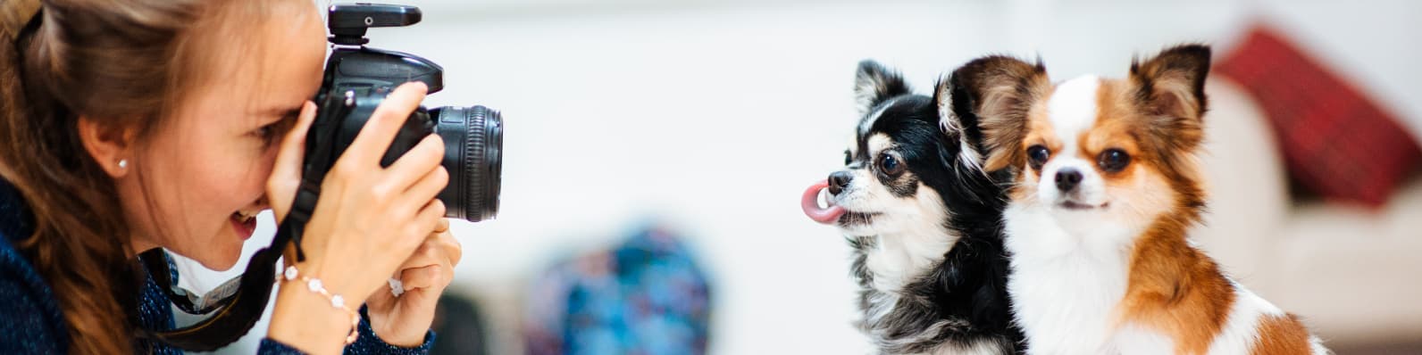 Imagen de 10 Tips para tomar fotos de mascotas