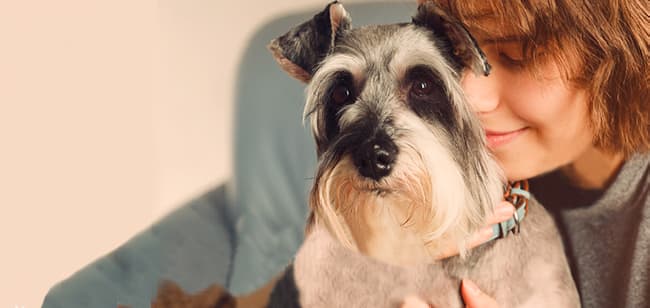 Imagen de Covid-19: ¿Mi perro puede infectarse o transmitir el virus?