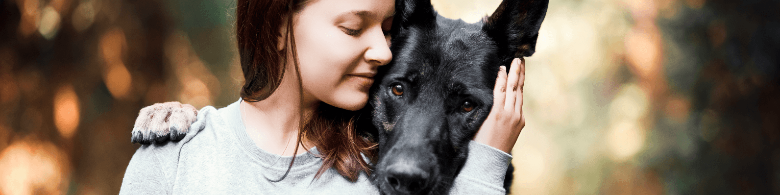 Imagen de 10 Tips para ser el mejor amigo de tu perro