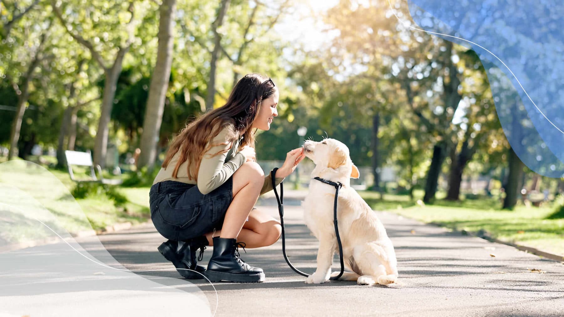 Imagen de 10 Tips para viajar con perros y gatos