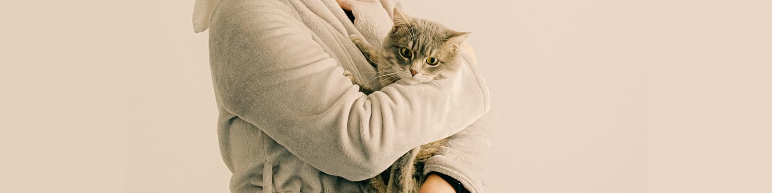 Imagen de Cómo cuidar a tu mascota del frío ¡Descúbrelo aquí!
