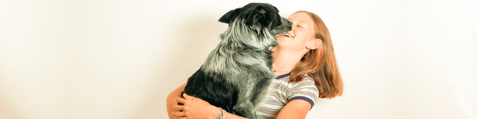 Imagen de Un perro hará tu vida especial: Aquí te contamos por qué