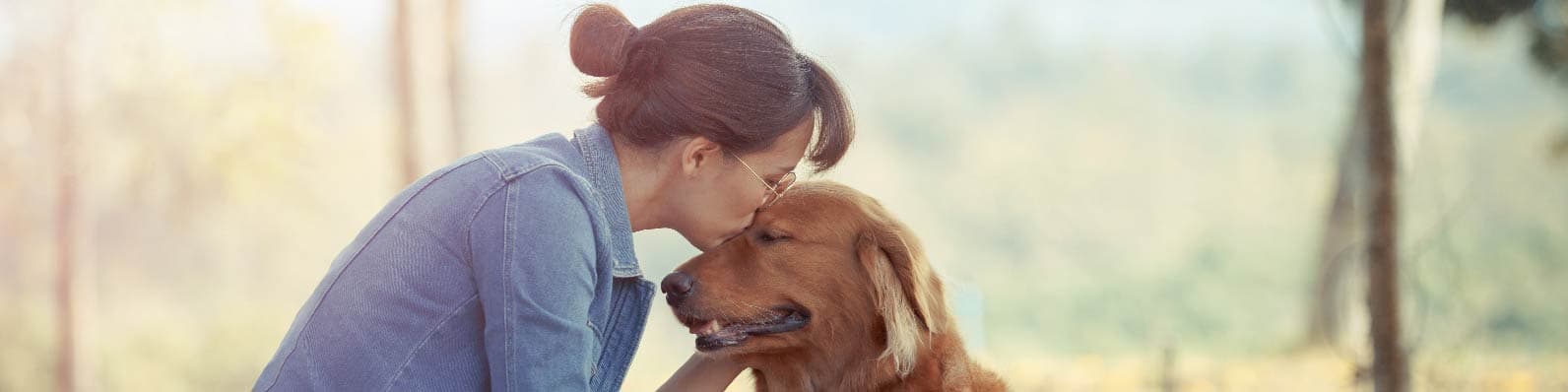 Imagen de Por qué adoptar un perro de raza grande en Colombia