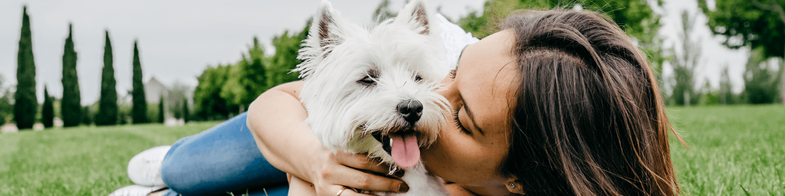 Imagen de ¿Cuánto tiempo viven los perros? ¡Aquí te lo decimos!