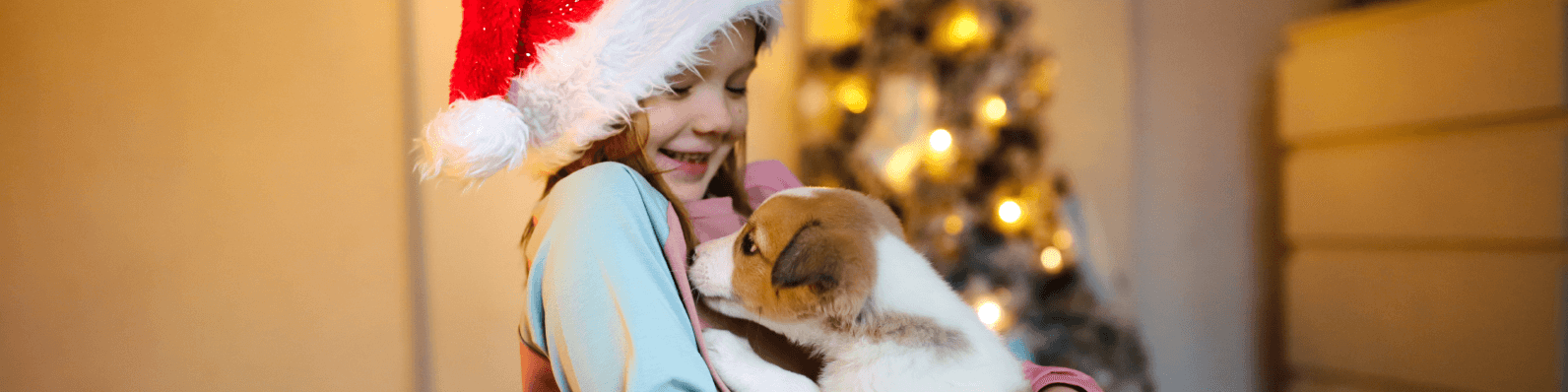 Imagen de Cómo celebrar la navidad con tu perro
