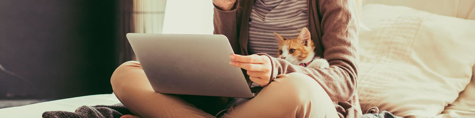 Imagen de ¿Por qué tu gato duerme sobre ti? ¡Aquí te lo decimos!
