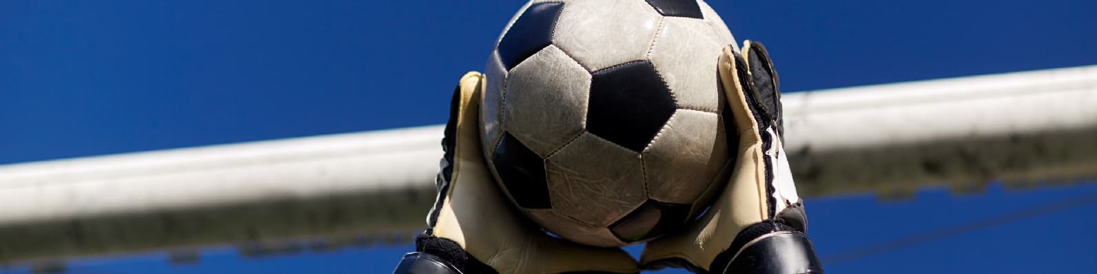 Imagen de Disfruta el deporte junto a tu mascota