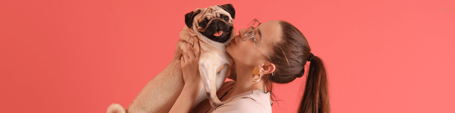 Imagen de ¿Vas a adoptar un pug? 5 cosas para tener en cuenta