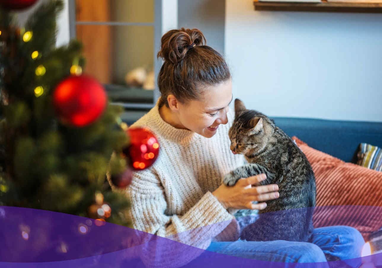Imagen de Cómo puedo evitar que mi gato dañe el árbol de Navidad