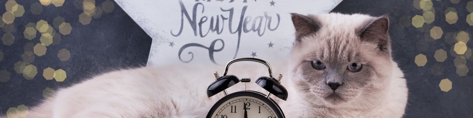 Imagen de Recibe el Año Nuevo con tu mascota
