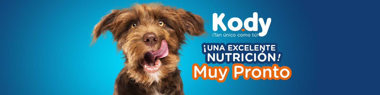Imagen de KODY: nutrición y sabor para tu perro al mejor precio
