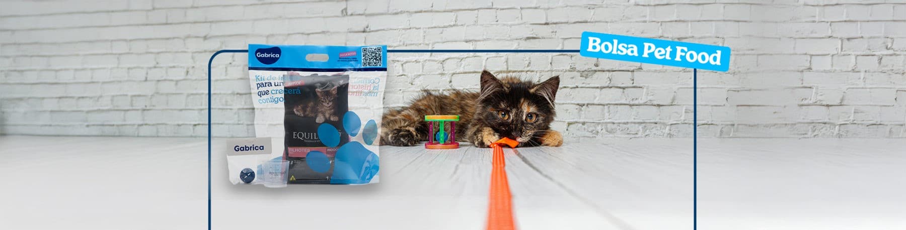 Imagen de 4 ideas creativas para reutilizar tu bolsa Pet Food