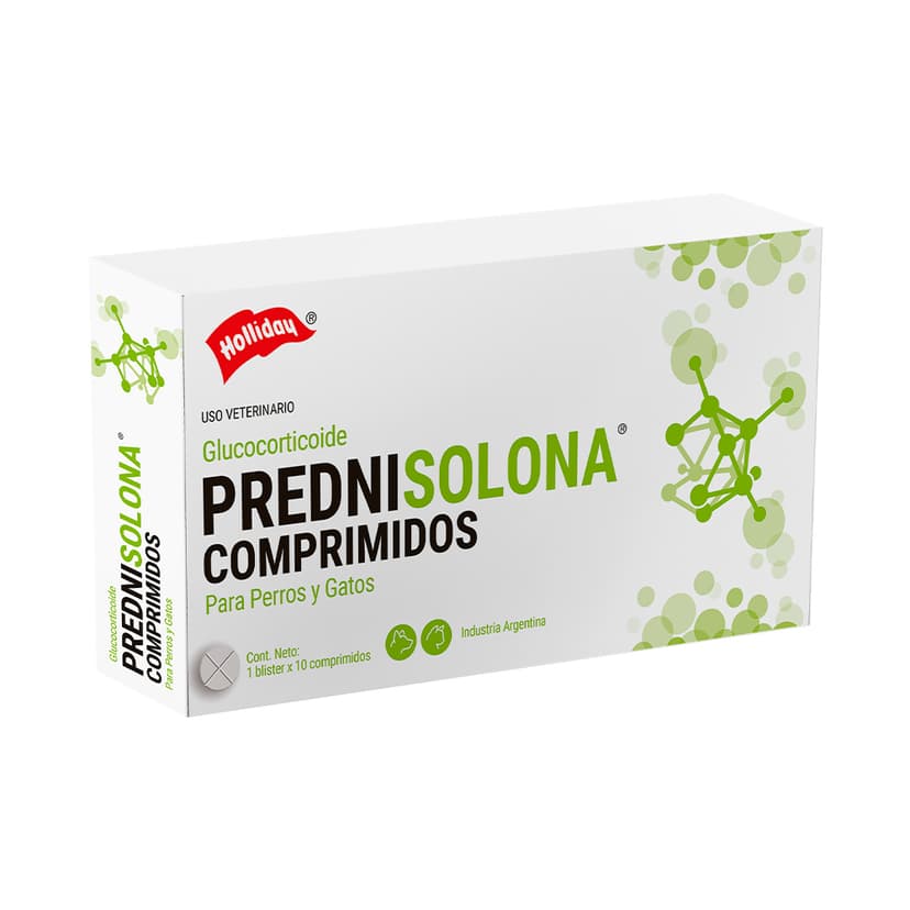 Prednisolona Antiinflamatorio 300 Tabletas