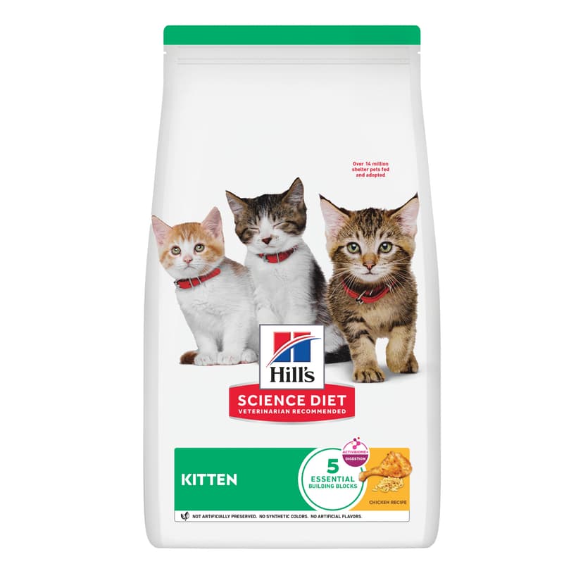 Comida Para Gato Hills Kitten