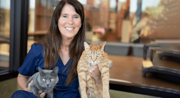 Veterinaria sonriendo con dos gatos