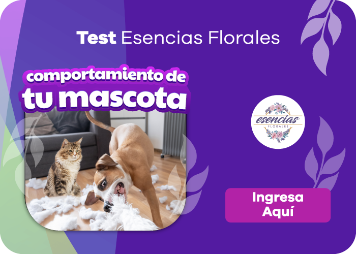 Test Esencias Florales