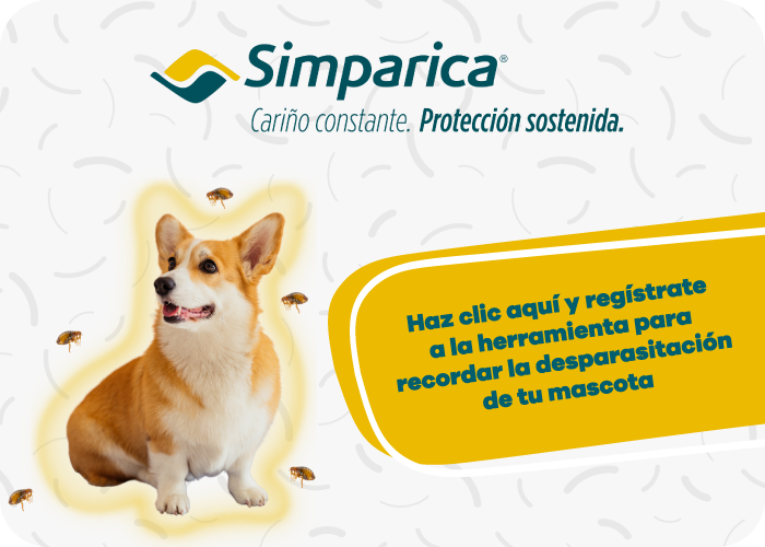 Recordatorio Simparica desparasitacion