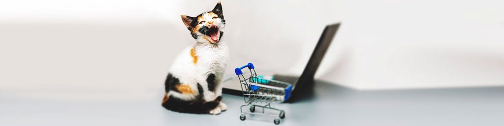 Las compras en línea para tu mascota son una buena forma de quedarte en casa y disminuir los riesgos de contagio para ti y tu familia. Conoce algunas de las mejores opciones.