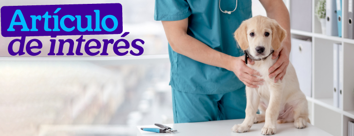 Gabrica | Hepatopatías en perros